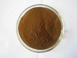 Factory Supply Nutritional Black Truffle Extract wild mushrooms