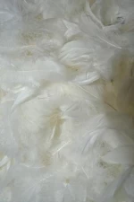 Factory wholesale washed white goose feather filling material fine quality