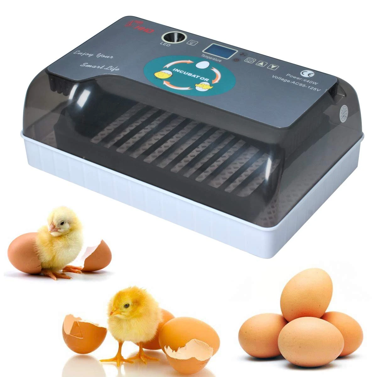 Farm machinery Mini Factory price 12 chicken egg incubator with led candler function  YZ9-12