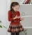 Import Fashion Children Clothing Autumn Winter Baby Girls Plaid Long Sleeve Princess Dress Party Dress from China