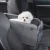 Import Fashionable car pet beds dog car back seat booster high dog car booster seat armrest dog seat from China