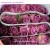 Import Florist Supplies Wholesalers The Highest Quality Fresh Roses Flower Very Beautiful Rose Flowers With Fast Delivery For Flower We from China
