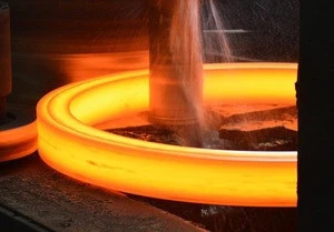 Forging Carbon steel Custom Made Ring/Machining Ring/Gear Ring