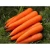 Import Fresh Carrot with best natural taste from South Africa