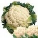 fresh cauliflower