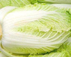 Fresh celery cabbage/Baby Cabbage white cabbage seeds