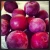 Import Fresh Plums from South Africa