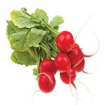 Fresh Radish
