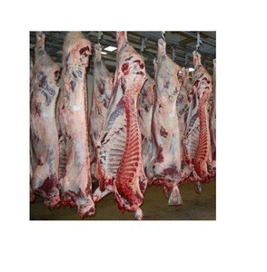 Frozen lamb carcass Bulk Quantity High quality cheap rate Wholesale Dealer