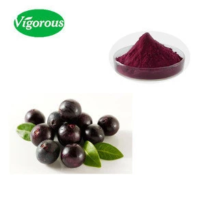 GMP factory natural acai berry extract for slim