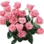 Import Grade A fresh cut flower importers from China