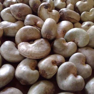 Grade A Raw Cashew Nuts