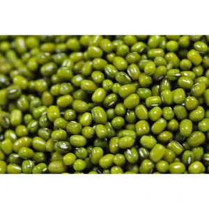 Green Mung Beans / Green Gram /Moong Dal / Vigna Beans (Red Ruby)
