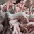 Import Halal Frozen Whole Chicken and Parts for sale from South Africa