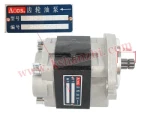 Hanzhi Hydraulic Gear Pump Cbhz-F31.5 for H2000 / K21 / 498 Forklift Spare Parts
