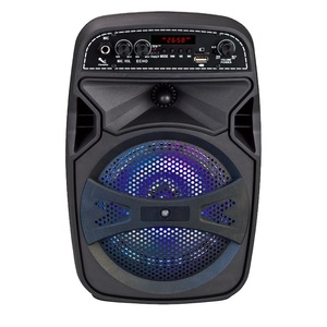 HCF private LED Lighting 6inch BT karaoke party speaker with wireless microphone Fm radio rechargeable battery