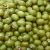 Import Health Fresh Origin Green Grem Cultivation Sprouting Green Mung Beans For food moong dal from China