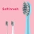 Import High Powered Adult Sonic Electric Toothbrush from China
