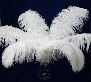 High Quality Carnival South Africa Ostrich Feathers For Sale