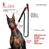 High Quality dual Nylon Webbing Dog Leash with Two Padded Handles , traffica handle great control for all dogs