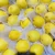 Import High quality Fresh Lemon limon fresh for Drinks from China