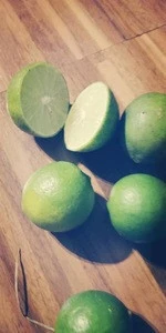 High Quality Green and Yellow lemon/ fresh lime/ fresh fruits from SA
