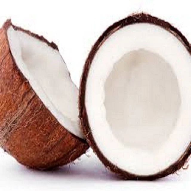 High Quality Healthy Semi Husked Coconut with quality Packing