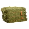 High Quality Lucerne Bales Alfalfa Hay in Best Discounts