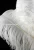 Import High quality wedding party table decoration white ostrich feather from China