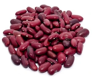 High sales New Crop Red Kidney Beans Excellent Quality for factory price