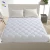 Import Home And Hotel White Goose Feather Down Mattress Natural Goose Feather Mattress Down Comforter Duvet from China