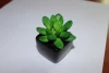 Home decoration artificial mini succulent potted plants bonsai indoor plants