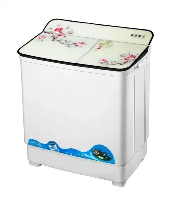 Home Portable Twin Tub Washing Machine with Dryer