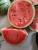 Import Honeydew-Hybrid Green Stripes Red Meat Seeded Round Watermelon Seed For Planting from China