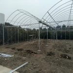 hot galvanized steel structure greenhouse plastic film for agriculture