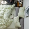 Hot Sale Adult 4pcs 100% Cotton Luxury Pigment Printing Bedding Sheet Set