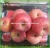 Import Hot Sale Chinese Fresh Apple Fruit from China