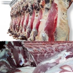 Hot Sale Frozen Boneless Beef Bolar Blade Frozen Beef Liver Meat Price