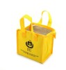 Hot Sale Insulated foil Non Woven Picnic Lunch Cooler Bag For Food With Zipper