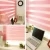 Import Hot Sale office modern day and night  horizontal korean windows combi zebra blinds from China