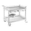 Hot-selling ABS hospital carts  Multifunction treatment trolley plastic with double drawer