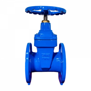 Hot selling customized din3352 F4  DN50  PN10 EPDM  Non rising stem soft seal gate valve