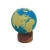 Import Hot Selling Educational Toys Globe Model Of Land & Water  Geography Laboratory Equipments from China