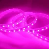 House or project decoration outdoor flex & soft LED STRIP SMD 2835 5050 5730 for Christmas party