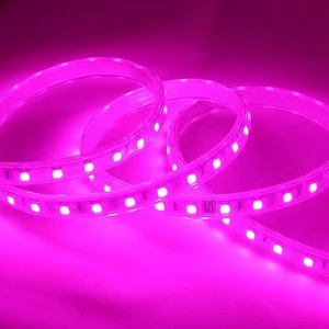 House or project decoration outdoor flex & soft LED STRIP SMD 2835 5050 5730 for Christmas party