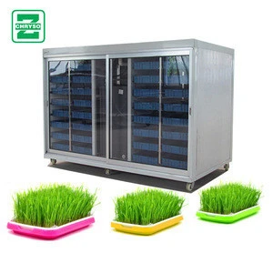 Hydroponic Forage Barley Seeds Sprouting Wheat Grass Growing Machine