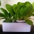 Import hydroponics garden supplies from China