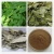 Import Icariin 50 60 80 98 gnc powder horny goat weed herb epimedium plant extract from China