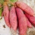 Import indonesian fresh sweet potatoes for sale from China from China