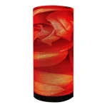 Indoor Flexible Soft Led Module  P1.86 P2 P2.5 P3 P4 P5 Cylinder Column WIFI/4G Led Display Screen
